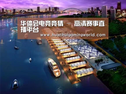 案例展示八