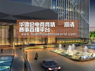 案例展示二