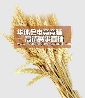 华体会电竞竞猜 - 高清赛事直播平台