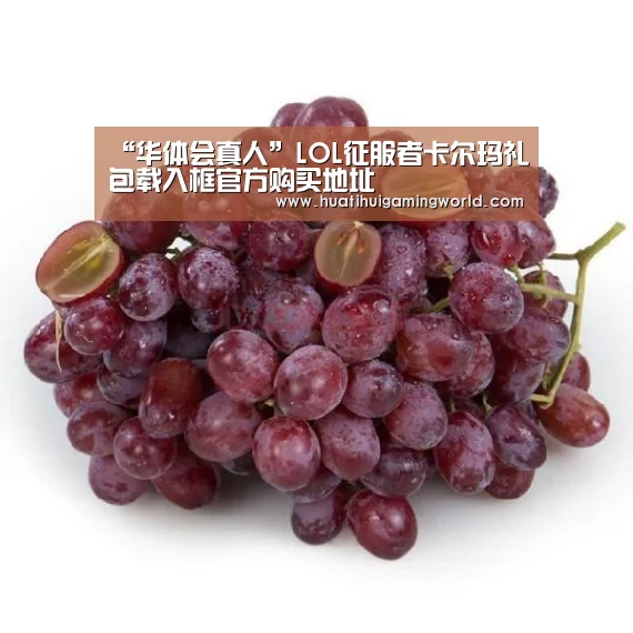 华体会真人