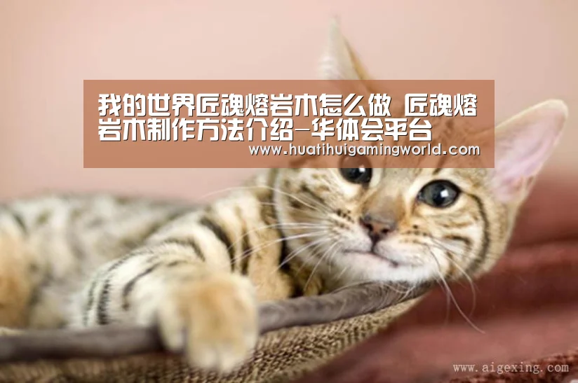 华体会真人
