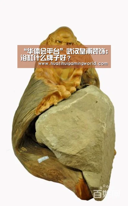 华体会真人