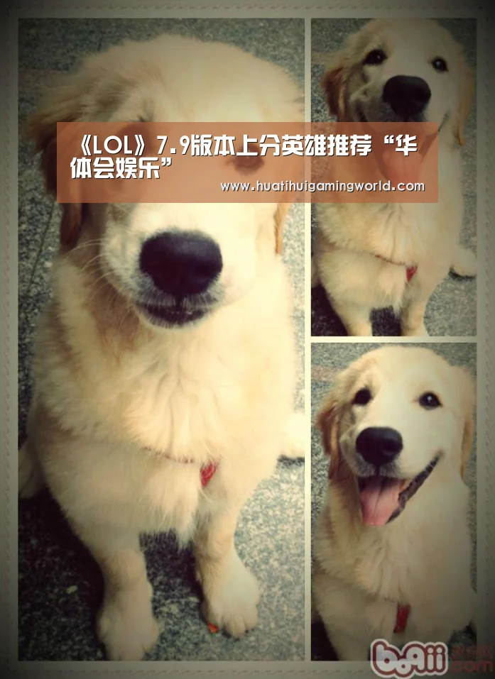 华体会下载