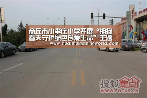 商丘市小李庄小学开展“拥抱春天守护绿色珍爱生命”主题活动【华体会平台】(图2) 华体会娱乐