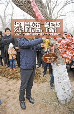 华体会平台