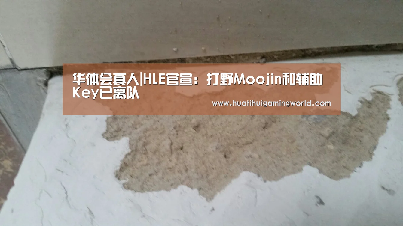 华体会真人|HLE官宣:打野Moojin和辅助Key已离队(图1) 华体会真人