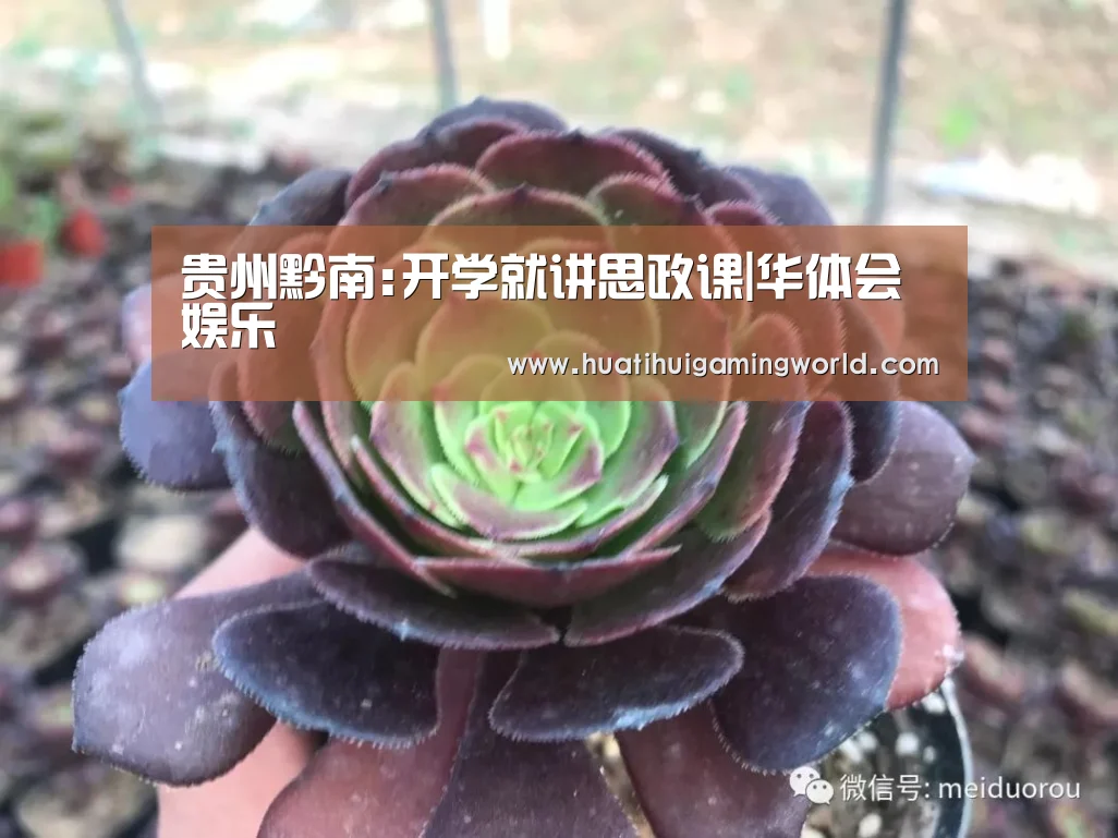 贵州黔南:开学就讲思政课|华体会娱乐(图3) 华体会娱乐