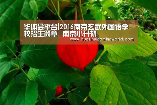 华体会真人