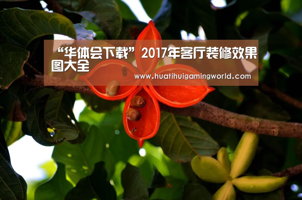 “华体会下载”2017年客厅装修效果图大全(图4) 华体会真人