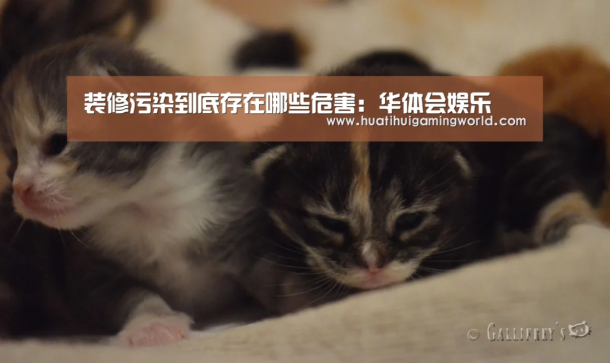 装修污染到底存在哪些危害:华体会娱乐(图1) 华体会下载