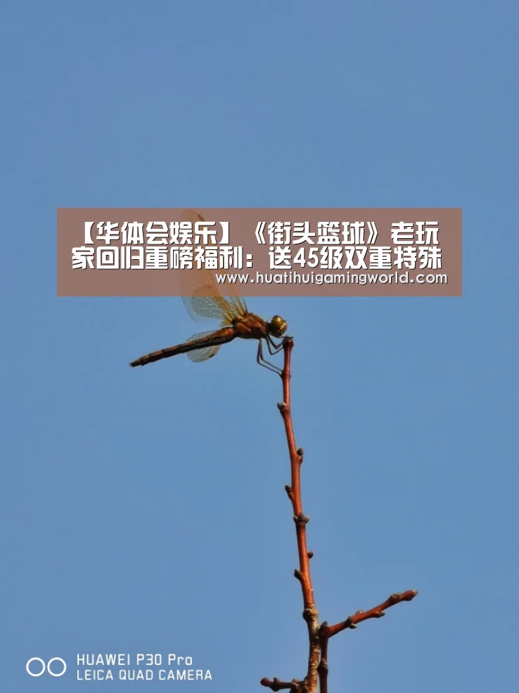【华体会娱乐】《街头篮球》老玩家回归重磅福利:送45级双重特殊角色(图3) 华体会平台