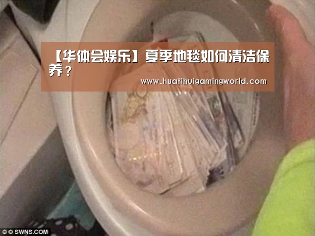 【华体会娱乐】夏季地毯如何清洁保养?(图1) 华体会真人