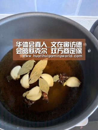 华体会真人_文在寅访德会晤默克尔 双方商定保持密切合作(图4) 华体会娱乐